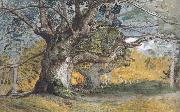 Samuel Palmer Oak Trees,Lullingstone Park oil on canvas
